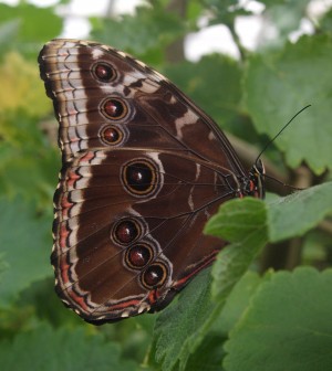 P1016450_uprava
