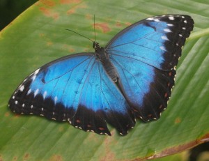 P1016459_uprava