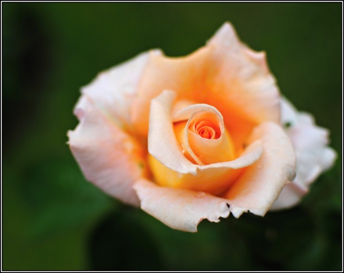 DSC_3583