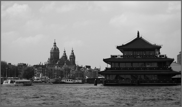 DSC_0481